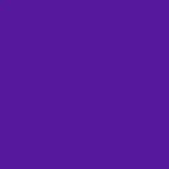 D-c-fix Glossy Contact Paper - Purple(Glossy Contact Paper Purple D 200 1974)