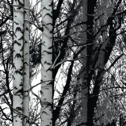 D-c-fix Wood Contact Paper(Wood Contact Paper D 200 3197)