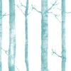 Aspen Tree Wallpaper(Aspen Tree Wallpaper D Ad014) -Astek | Home Sales AD014 1 Aspen Tree TEAL