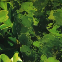 Window Illusions VIII | ASK901(Window Illusions Viii Ask901 D Ask901)