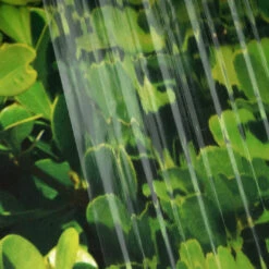 Window Illusions VIII | ASK907(Window Illusions Viii Ask907 D Ask907)