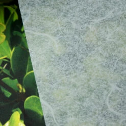 Window Illusions VIII | ASK921(Window Illusions Viii Ask921 D Ask921)