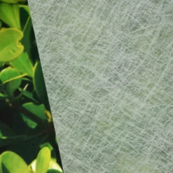 Window Illusions VIII | ASK922(Window Illusions Viii Ask922 D Ask922)