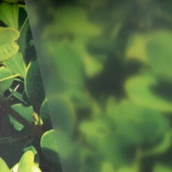 Window Illusions VIII | ASK923(Window Illusions Viii Ask923 D Ask923)