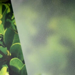 Window Illusions VIII | ASK924(Window Illusions Viii Ask924 D Ask924)