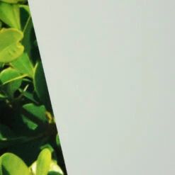 Window Illusions VIII | ASK928(Window Illusions Viii Ask928 D Ask928)