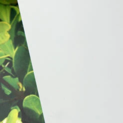 Window Illusions VIII | ASK929(Window Illusions Viii Ask929 D Ask929)