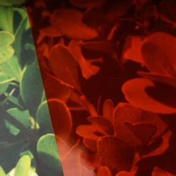 Window Illusions VIII | ASK930(Window Illusions Viii Ask930 D Ask930)