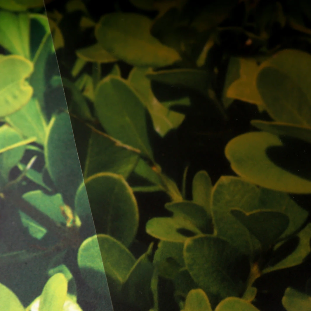 Window Illusions VIII | ASK931(Window illusions viii ask931 d ask931) Window Illusions VIII | ASK931(Window Illusions Viii Ask931 D Ask931) -Astek | Home Sales ASK931 window illusions viii ask931 WINDOWILLUSIONSVIIIASK931