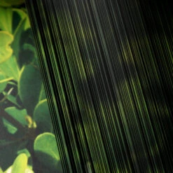 Window Illusions VIII | ASK934(Window Illusions Viii Ask934 D Ask934)