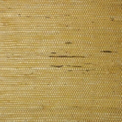 Fine Arrowroot Wallpaper - Golden Yellow(Fine Arrowroot Wallpaper Golden Yellow D Er133)