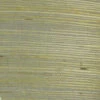 Oyster Grasscloth Wallpaper(Oyster Grasscloth Wallpaper D Nb578) 1 Oyster Grasscloth Wallpaper(Oyster Grasscloth Wallpaper D Nb578) -Astek | Home Sales NB578 NB578 NB578 25c2abc7 53fa 4f99 90bb 1ba8a2dec0f4