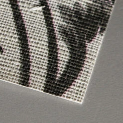 Front Page 1 Front Page -Astek | Home Sales PNAD016 chrysanthemum CHRYSANTHEMUM install 2e5997ec 89ba 481d add3 e74b78940043