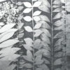Climbing Hydrangea Silver Leaf Wallpaper(Climbing Hydrangea Silver Leaf Wallpaper D Pnad654) 2 Climbing Hydrangea Silver Leaf Wallpaper(Climbing Hydrangea Silver Leaf Wallpaper D Pnad654) -Astek | Home Sales PNAD654 climbing hydrangea CLIMBINGHYDRANGEA 49eb7808 2d2e 4b04 b796 17d529e37a63