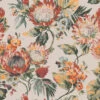 Protea | Peel & Stick Wallpaper(Protea Peel Stick Wallpaper D Psad595) -Astek | Home Sales PSAD595 1 protea CAPEFLORA cf163ba8 b9c5 419c 9c8f 963703ea8aa5